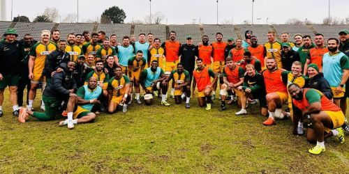 Three Springboks fighting to keep their place in the squad
