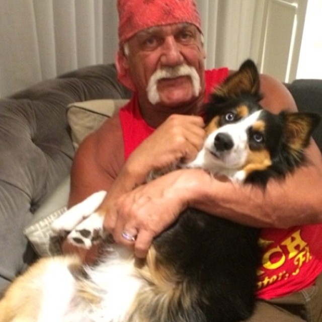 Hulk Hogan Training For Fight