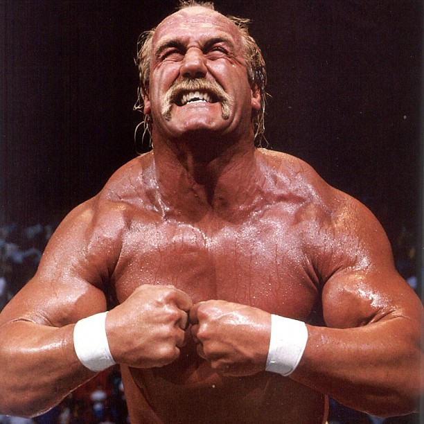 Hulk Hogan Training Pic