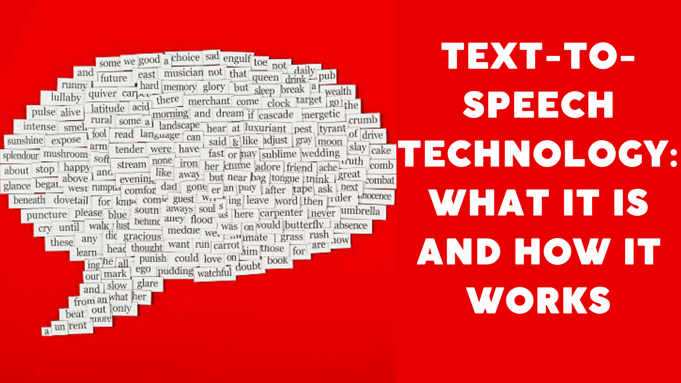 What Is Text To Speech Technology And How Does It Work?