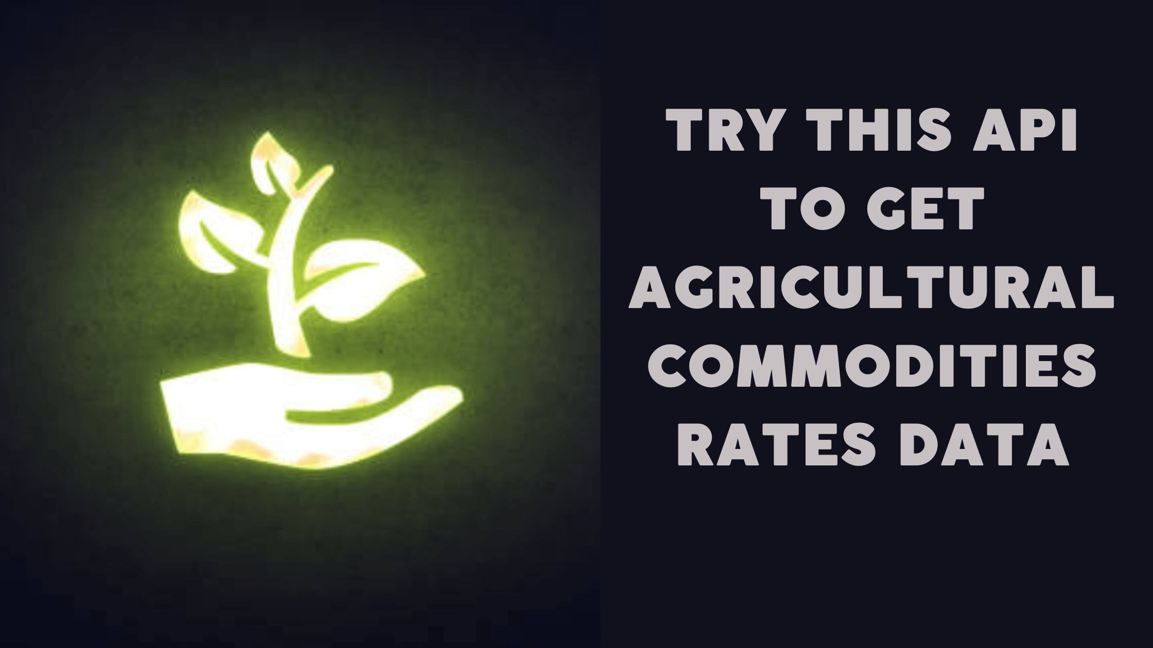Try This REST API To Get Agricultural Rates Data With Accuracy