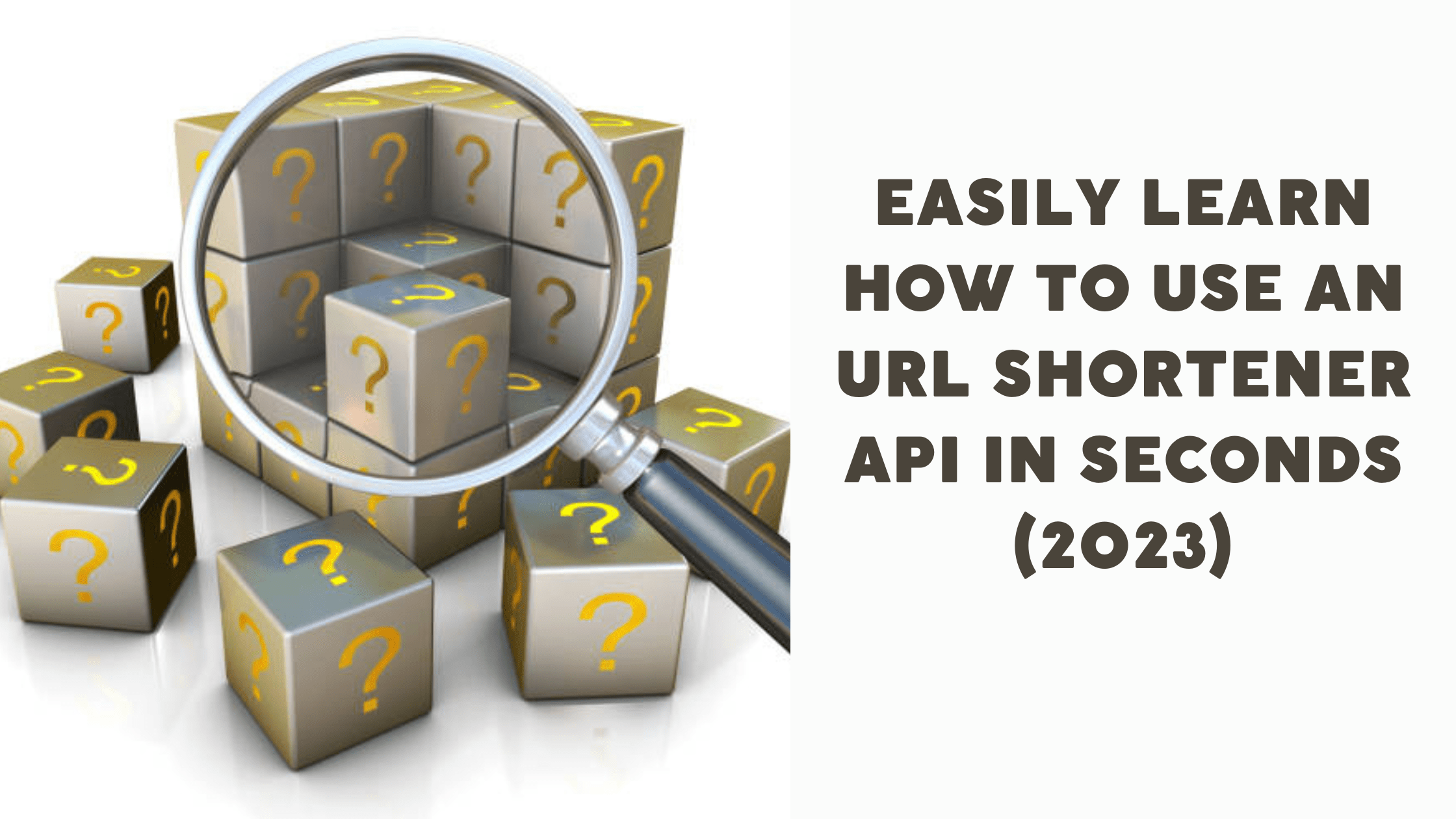 Easily Learn How To Use An URL Shortener API In Seconds (2023)