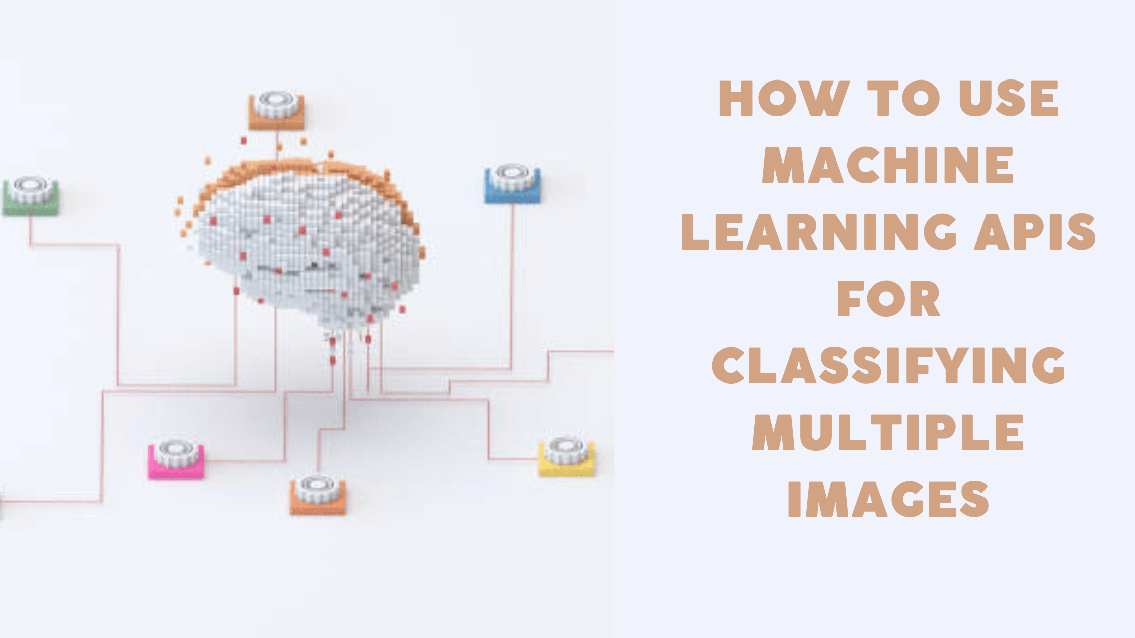 How To Use Machine Learning APIs For Classifying Multiple Images