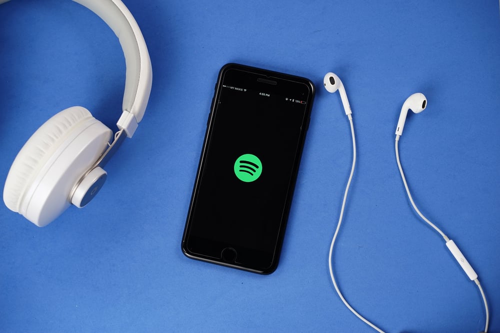 How To Increase Bass On Spotify PC (Step-By-Step) (11) How To Increase Bass On Spotify PC (Step-By-Step) (11)