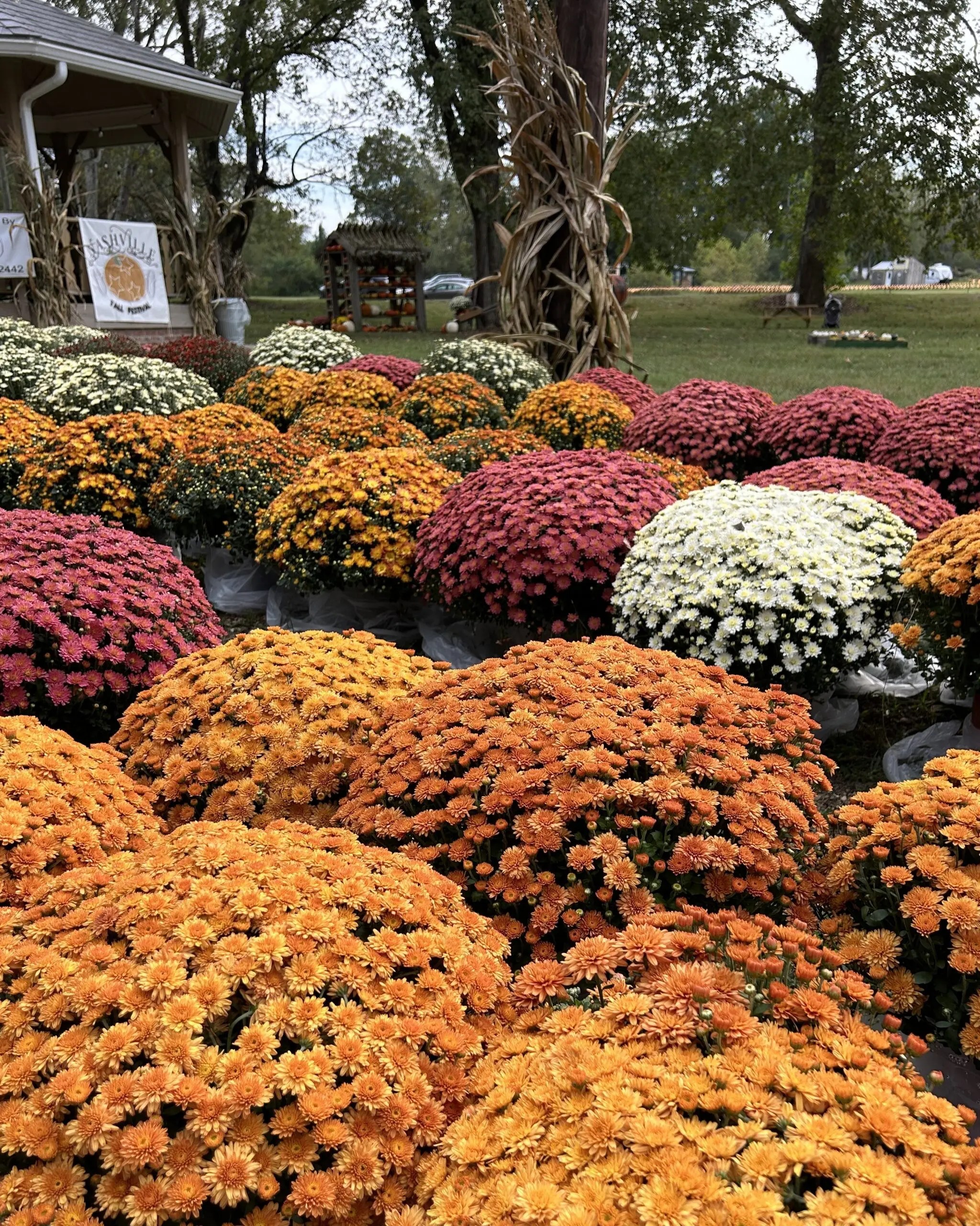 fun things to do in Nashville this Fall
