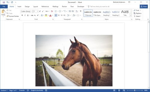Resize File Word Inert Move And Resize A Text Box In Word Youtube 