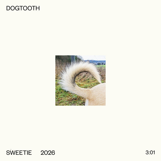 Sweetie - Dogtooth