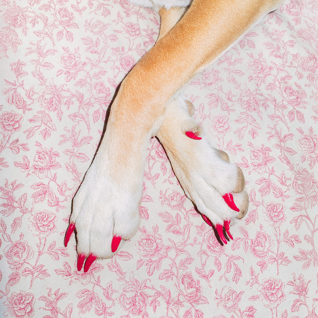 Sweetie - Modern Myth