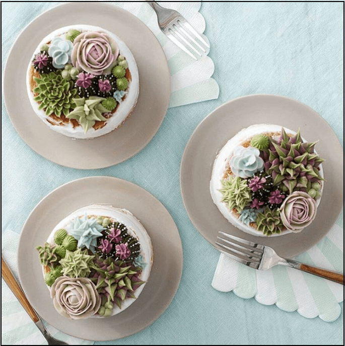 HouseBeautifulSucculentCakes3