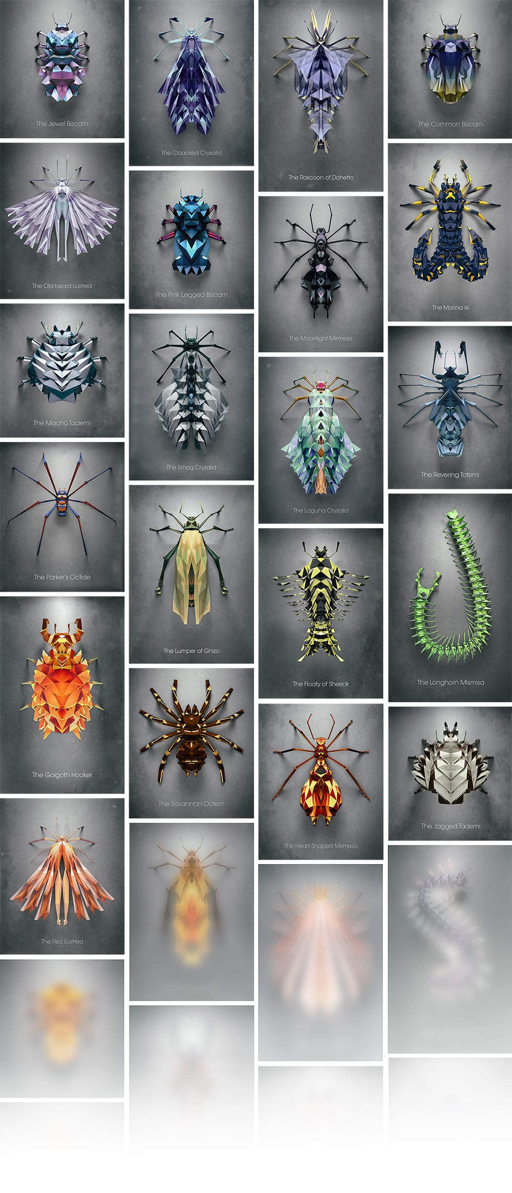 Polygonal Insects – Life Through A Mathematician's Eyes