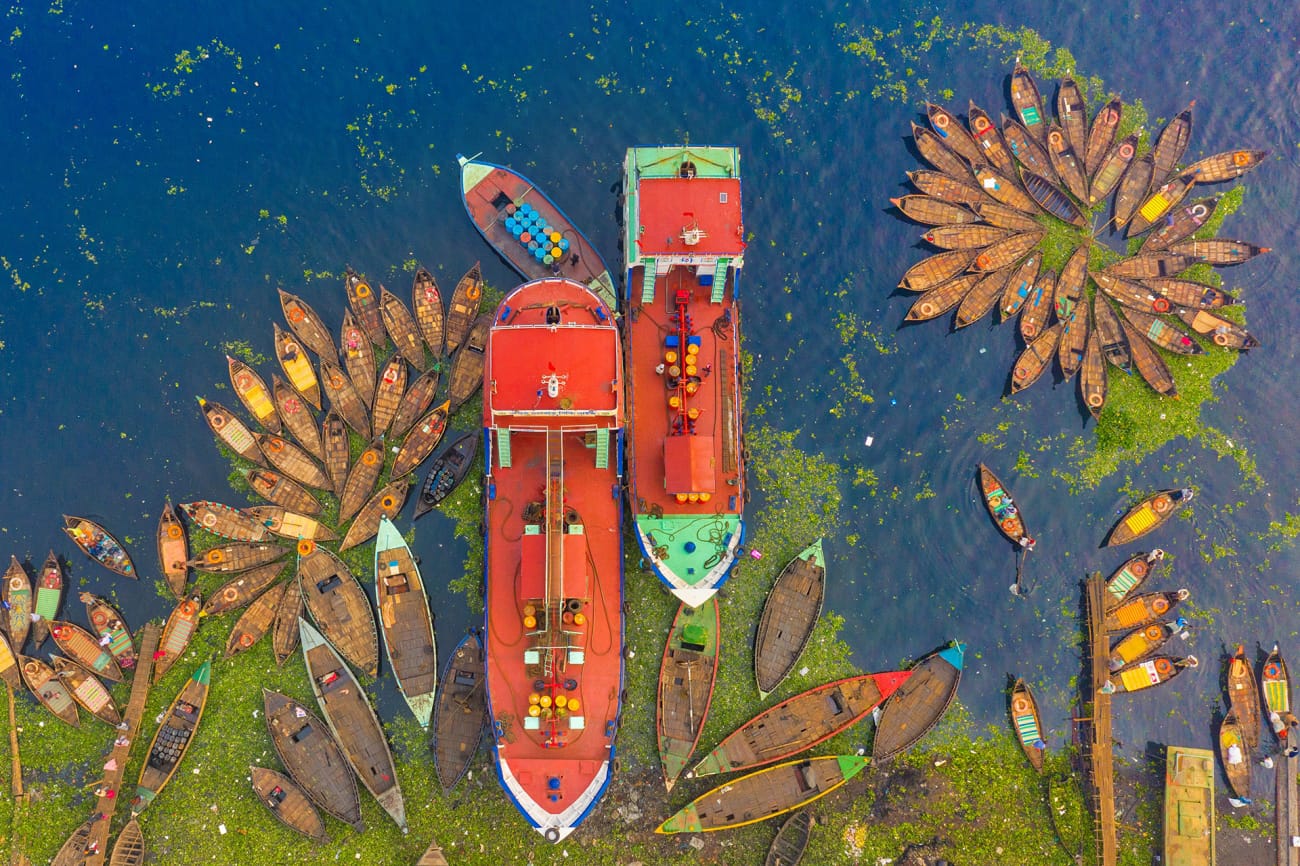 Cover Image of the Post