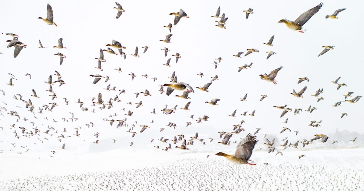 Spectacular winners of the 2021 drone photography contest capture a