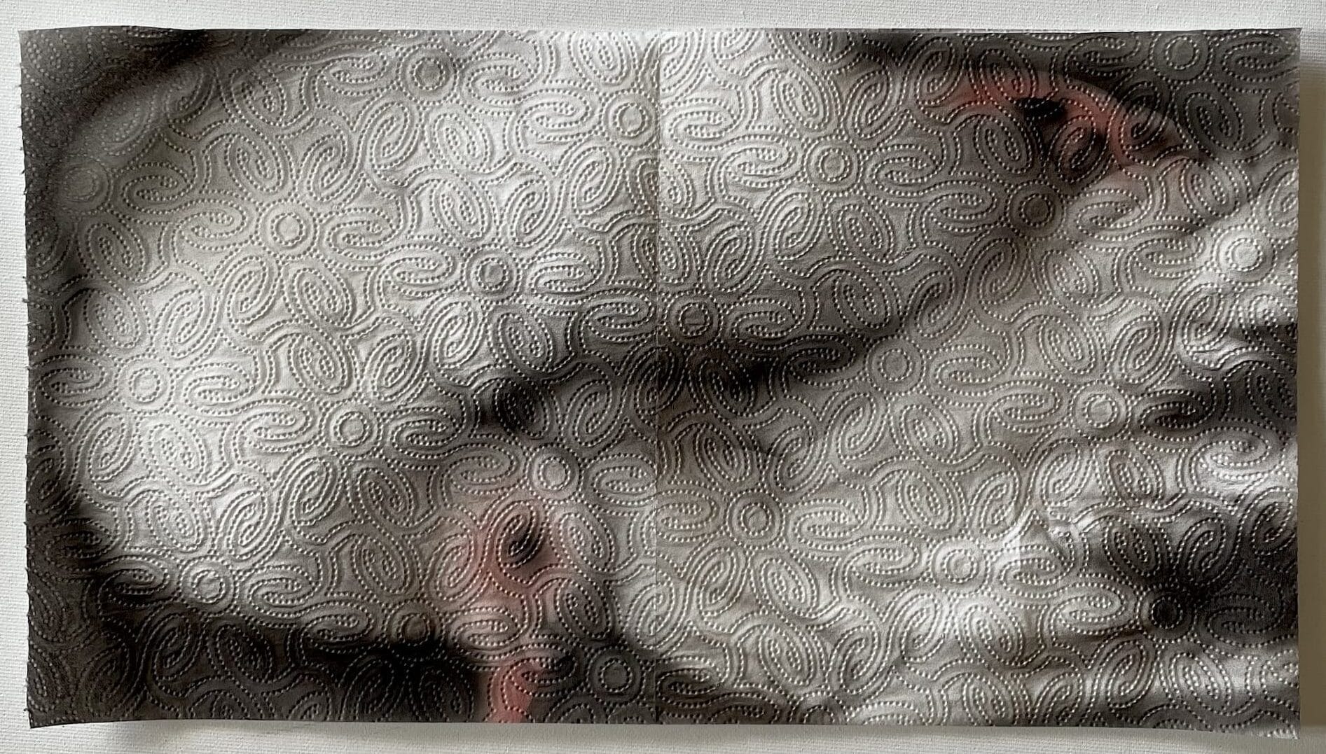 Helena Minginowicz: Paper Towel Art with a Renaissance Twist (2026)