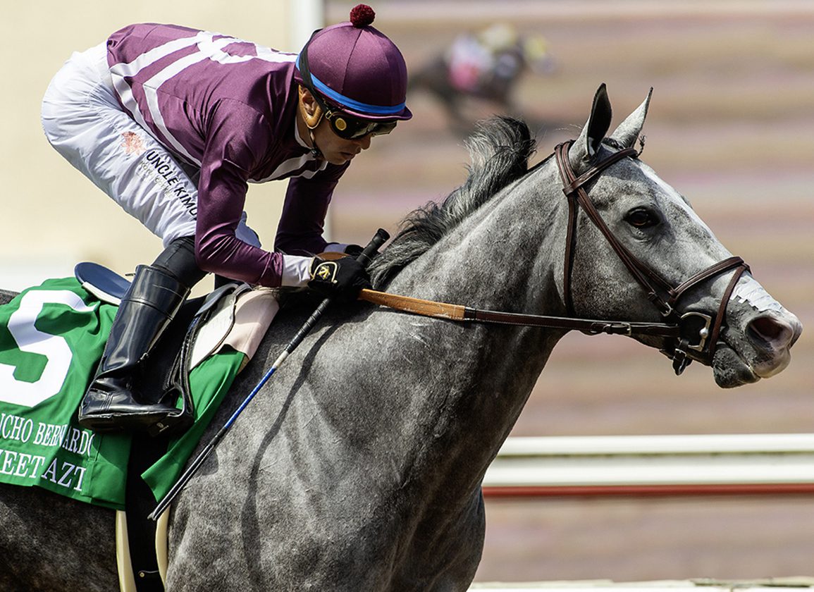 Sweet Azteca Wins GIII Rancho Bernardo Stakes 2026 - Horse Racing Highlights (2026)