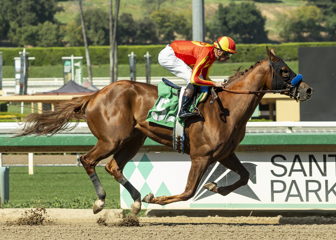 Weekend Princess: Vekoma's Rising Star in Horse Racing (2026)