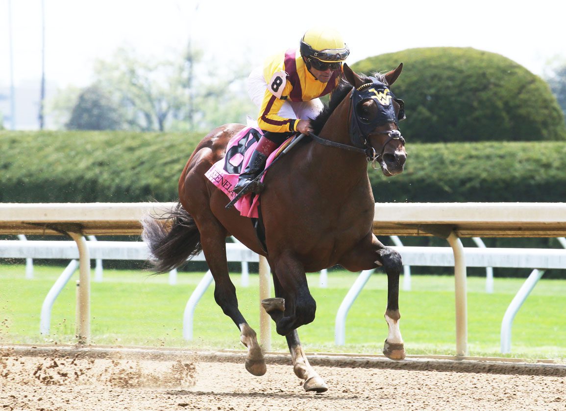 American Rascal: TDN Rising Star's Journey to Haras Masama in Argentina | Horse Racing News (2026)