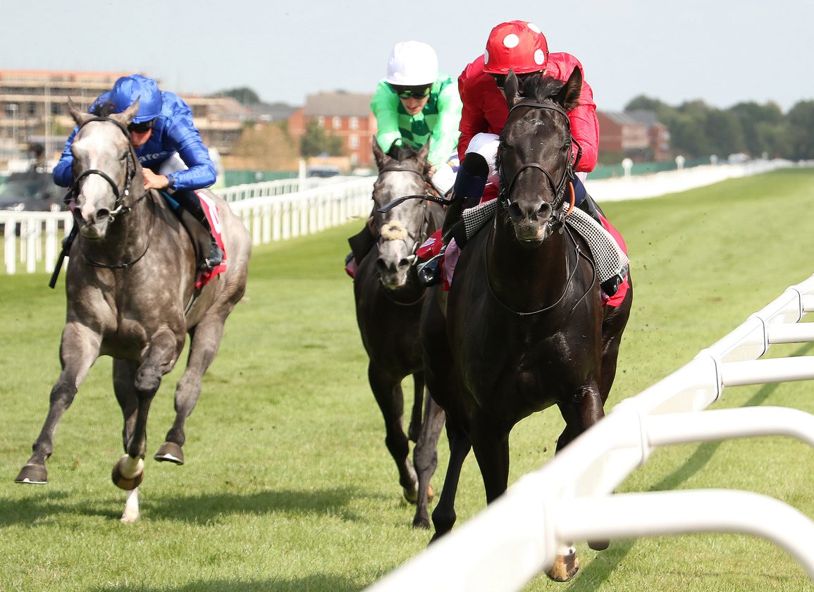 Coppull Dominates Group 2 Hungerford Stakes at Newbury | Horse Racing Highlights (2026)