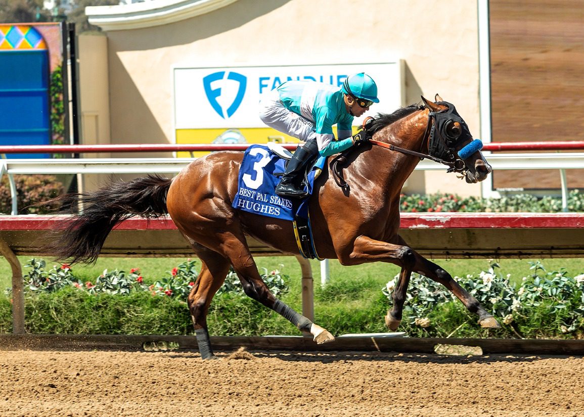 Hughes' Unstoppable Rise: Dominating Win in the Best Pal Stakes (2026)