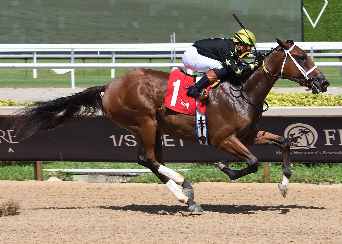 Modonday Wins First Race for Mo Donegal at Gulfstream Park! (2026)
