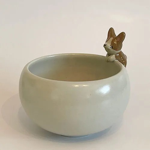 corgi bowl