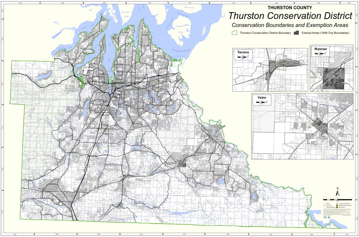 Board Of Supervisors Election Thurston District 