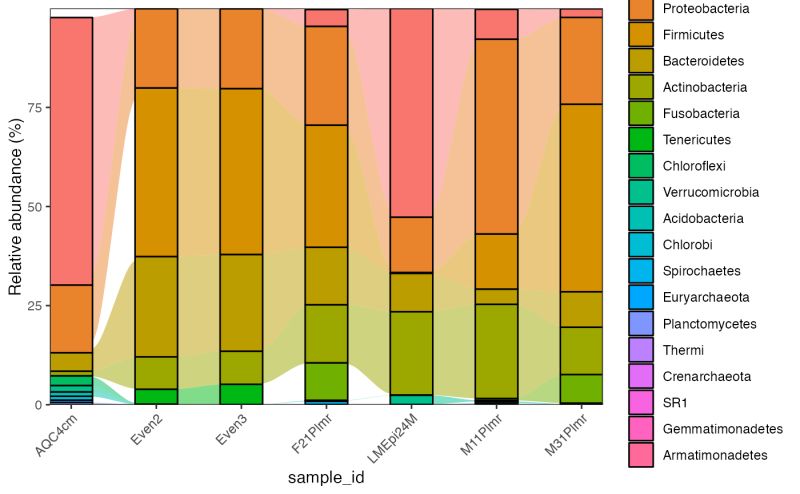Barplot Based On Ggplot2 Plot Barplot Microbiomeplot - Download Perfect Gradient Art | 4K
