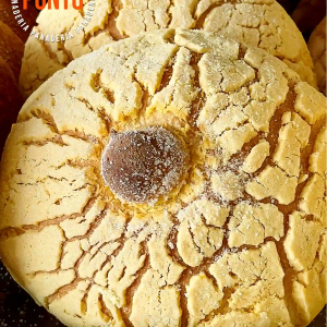 Pan Lima