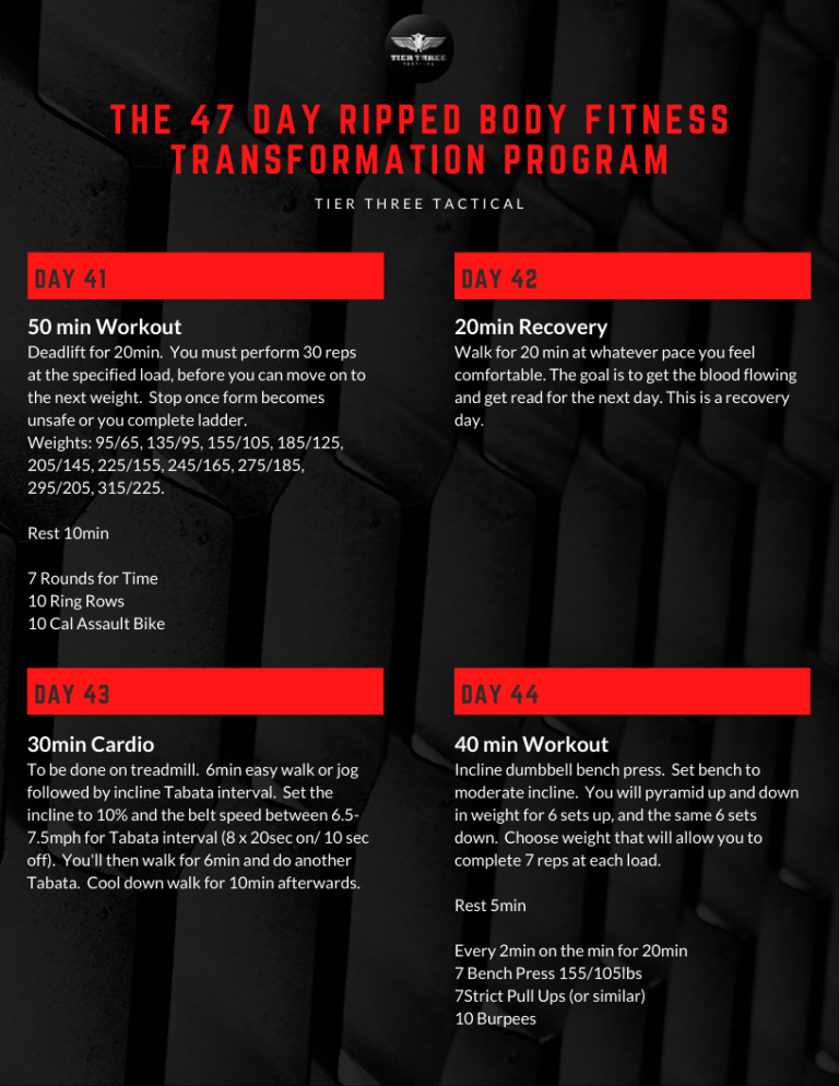 The 47 Day Ripped Body Fitness Transformation Program [PDF] - Tier ...