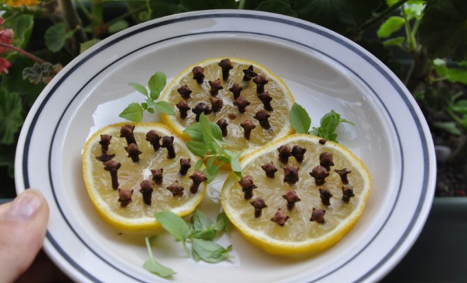 Manfaat Taruh Buah Lemon Ditusuk Cengkeh di Kamar Tidur