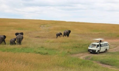 7-Days Amboseli, Lake Naivasha, Lake Nakuru & Masai Mara Safari