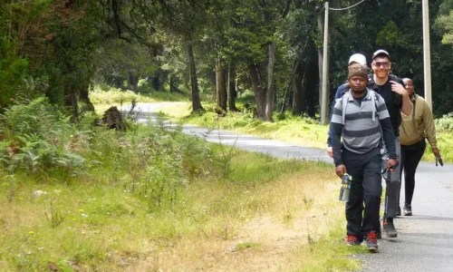 4-Days Mount Kenya Trek Via Sirimon Route