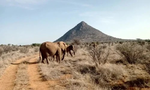 3-Days Mount Ololokwe Hiking & Samburu Safari