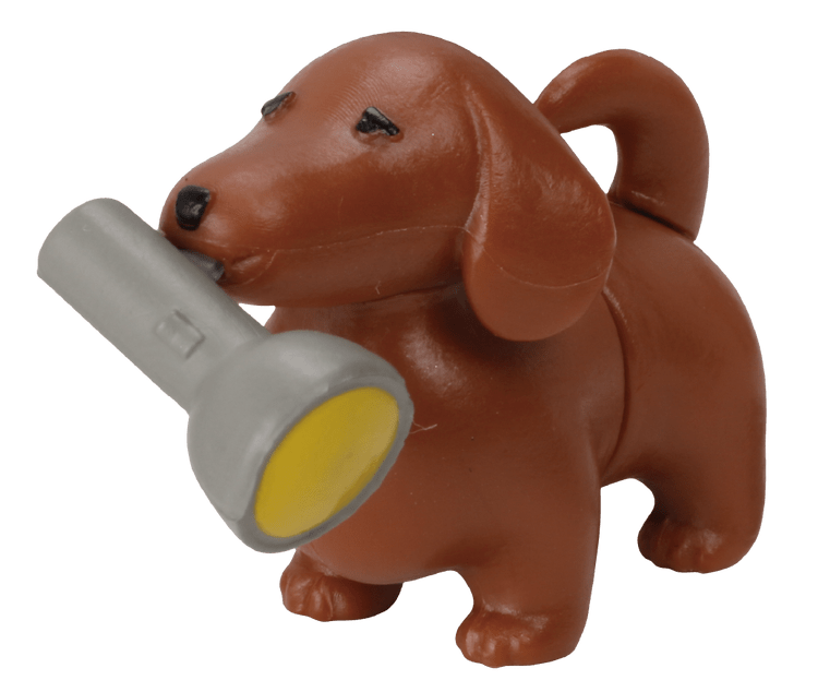 medium_kandenchidachshund_03_f93c9f4b23