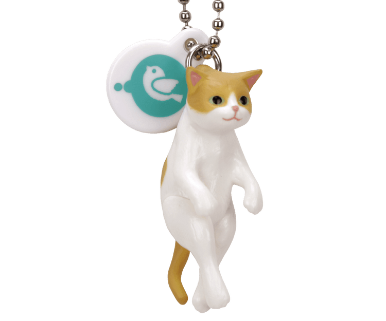 medium_yuraneko02_73bb7d1550