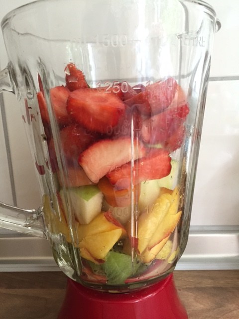 Mein geliebter Russell Hobbs Smoothie Mixer