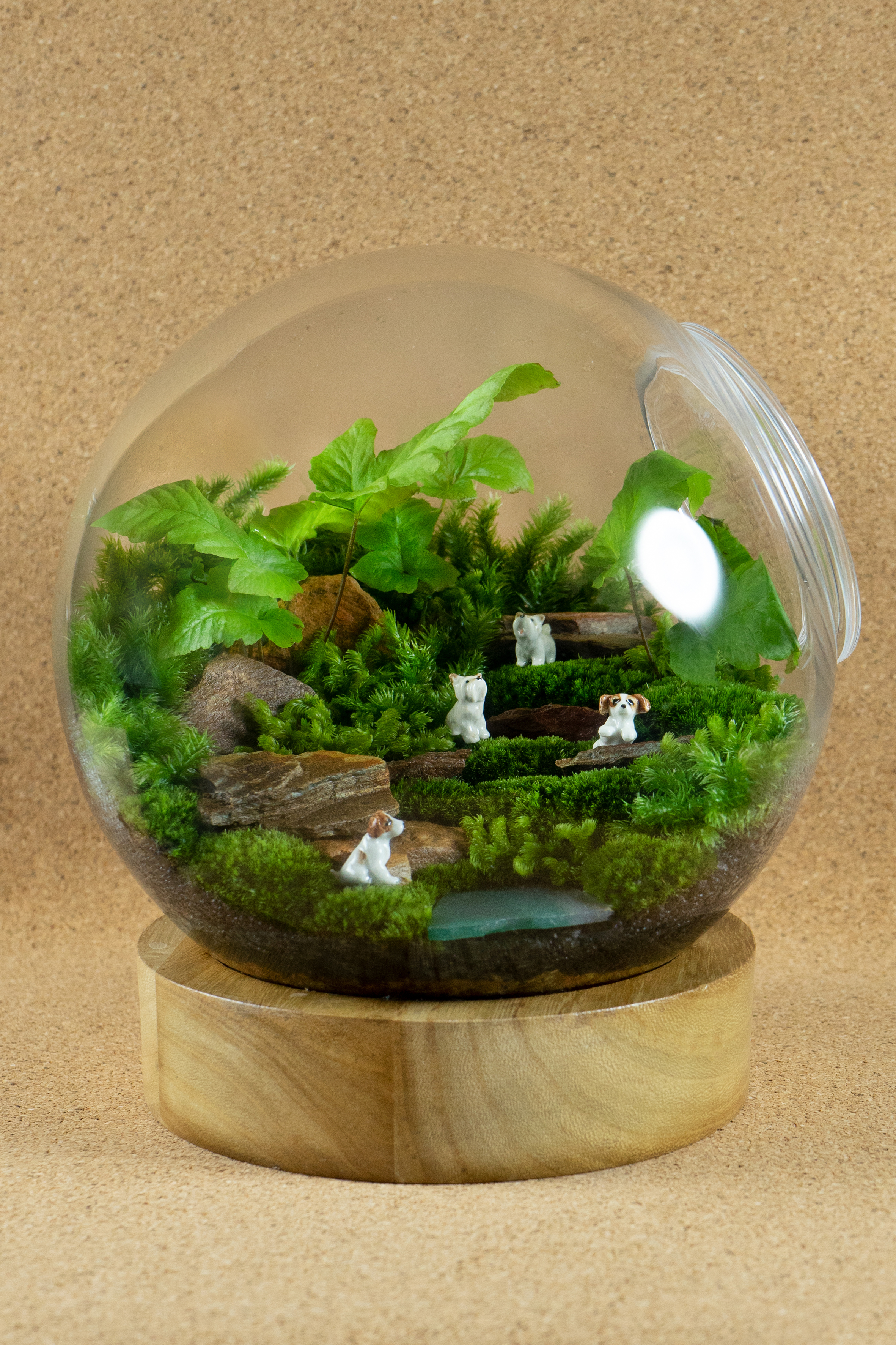 Big Passion For Tiny Trees Dungeness Bonsai Society Host 43rd Annual Spring Show Sequim Gazette