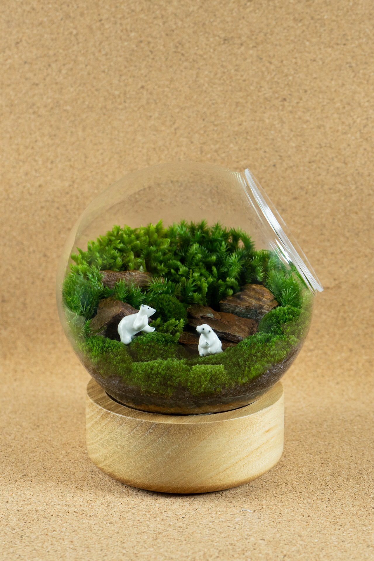 Seed Today Tree Tomorrow Philosophy Karmic Ecology