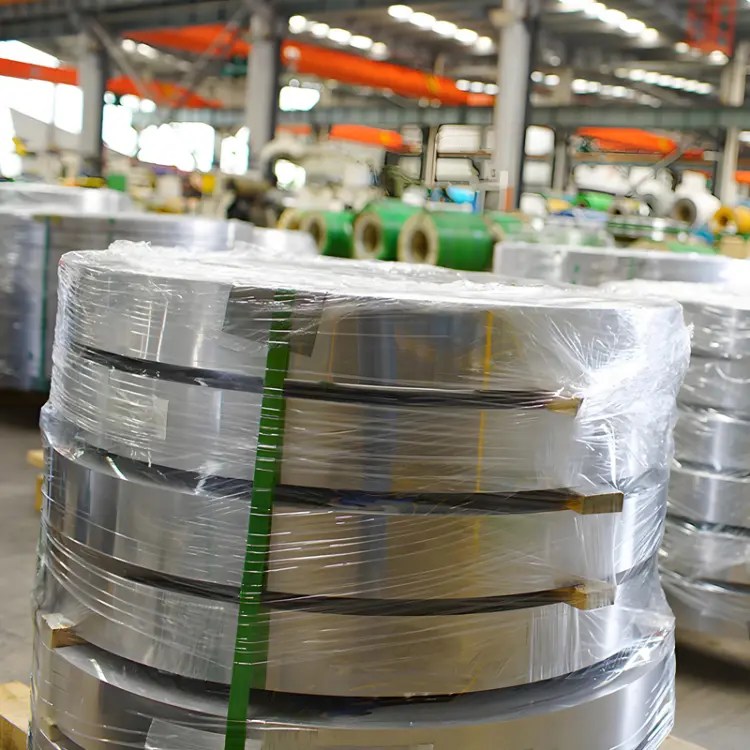 Stainless Steel Strips (13)