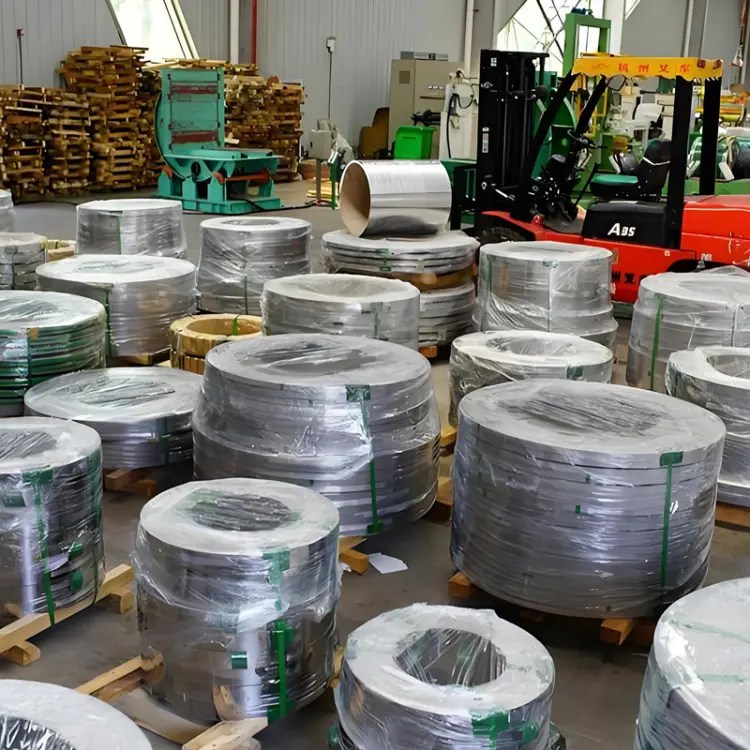 Stainless Steel Strips (15)