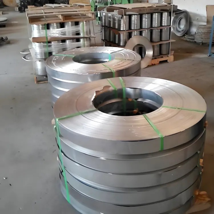 Stainless Steel Strips (17)