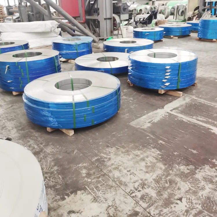 Stainless Steel Strips (19)