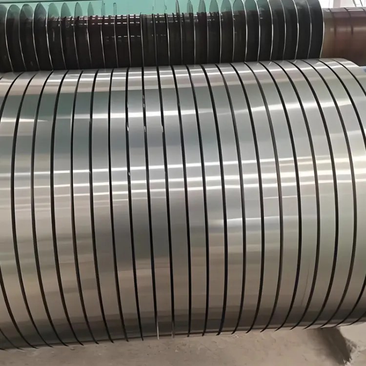 Stainless Steel Strips (2)