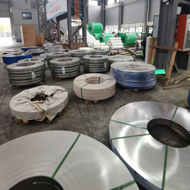 Stainless Steel Strips (20)
