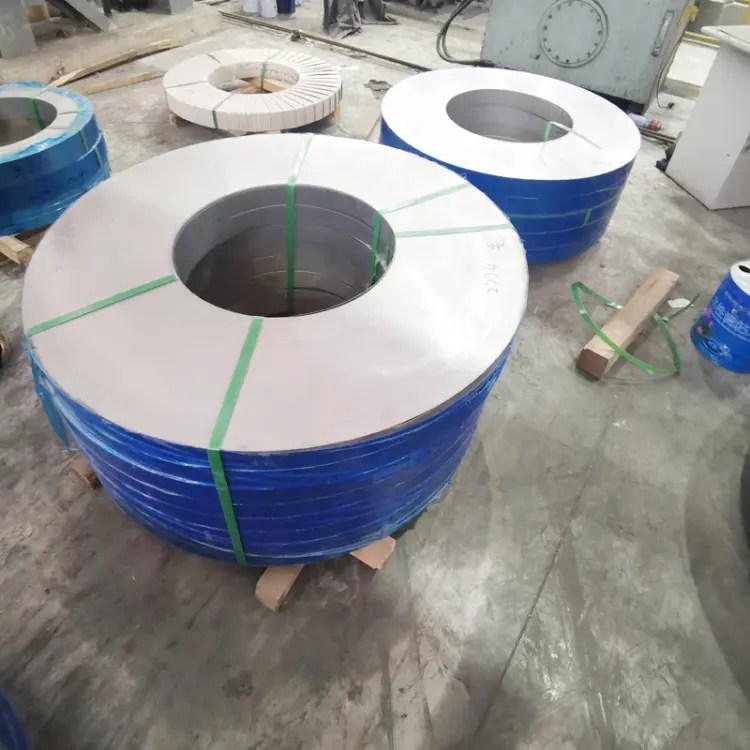 Stainless Steel Strips (21)