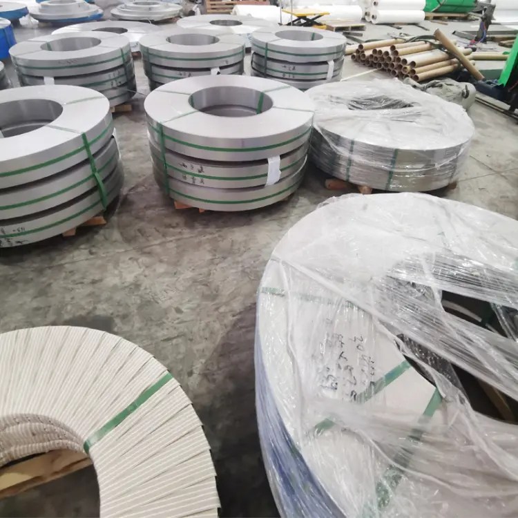 Stainless Steel Strips (24)