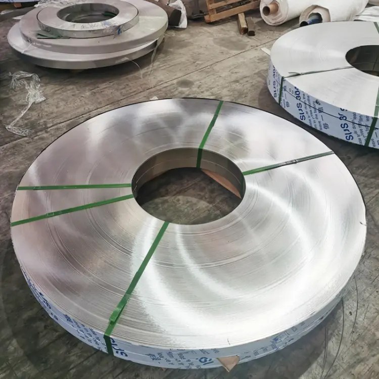Stainless Steel Strips (25)