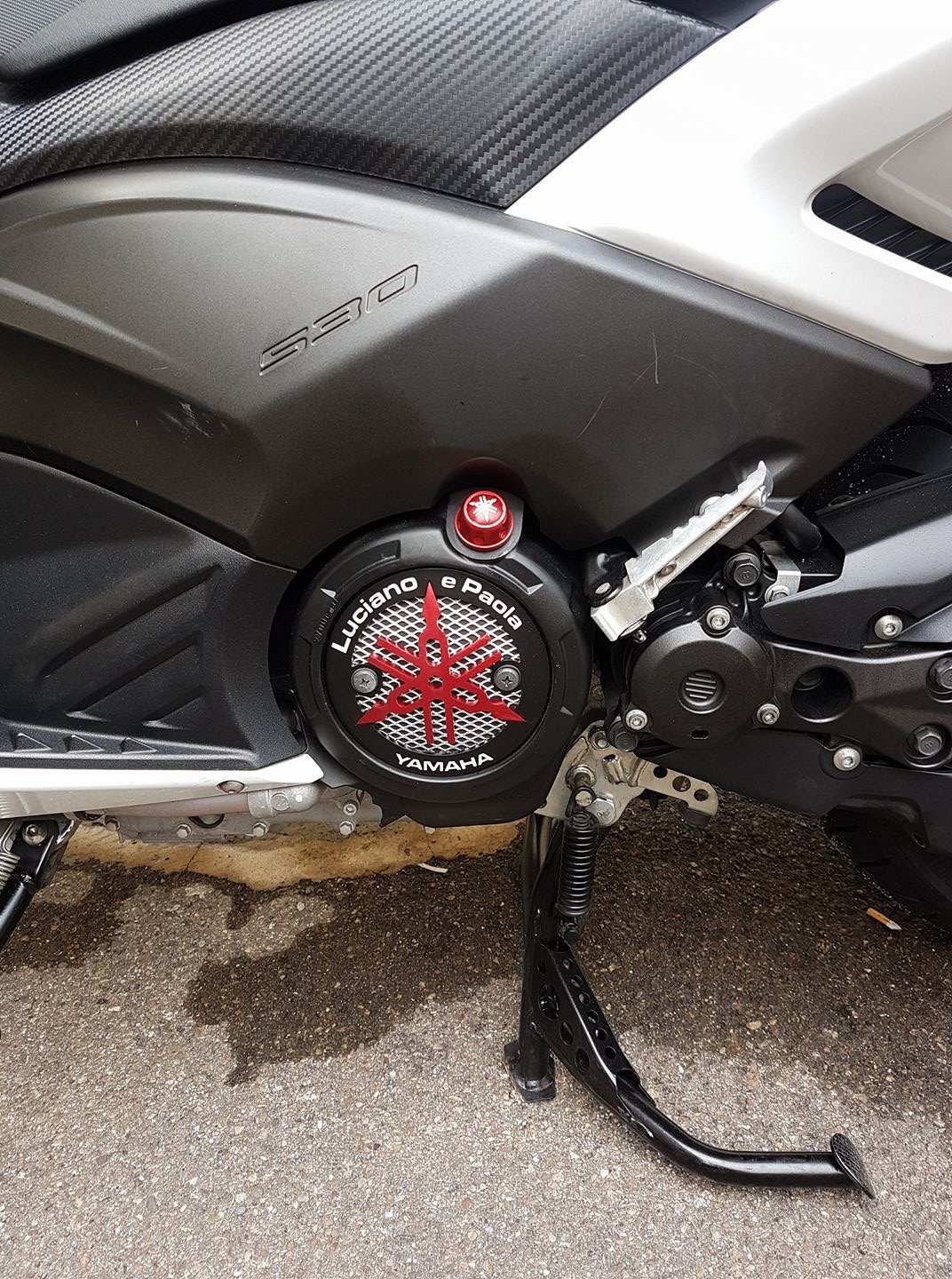 Carterini motore Arkimelo (1)