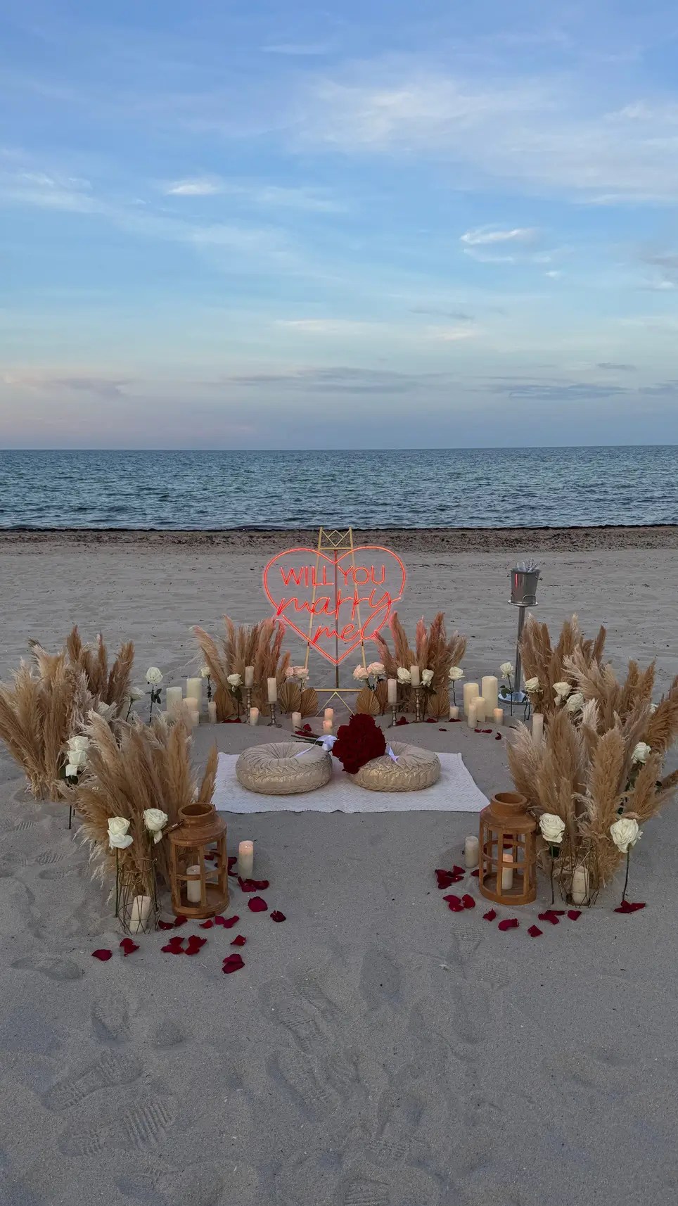 The Promise Proposal