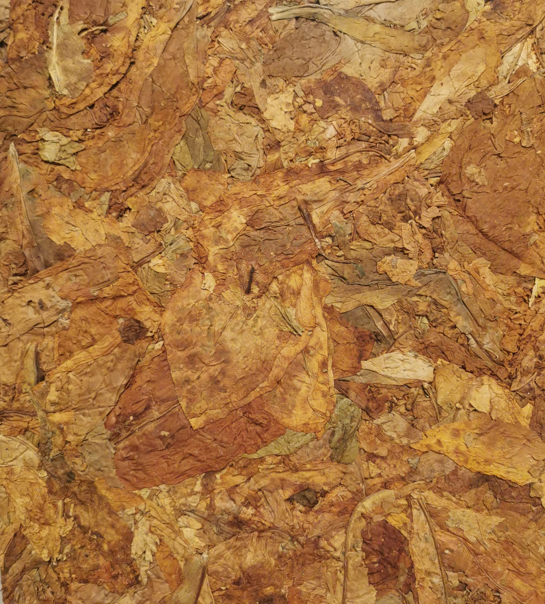 smoker's world disc tobaccos janesville photos SMOKER'S WORLD - Updated May 2026 - 2085 Lynnhaven Pkwy, Virginia Beach,  Virginia - Vape Shops - Phone Number