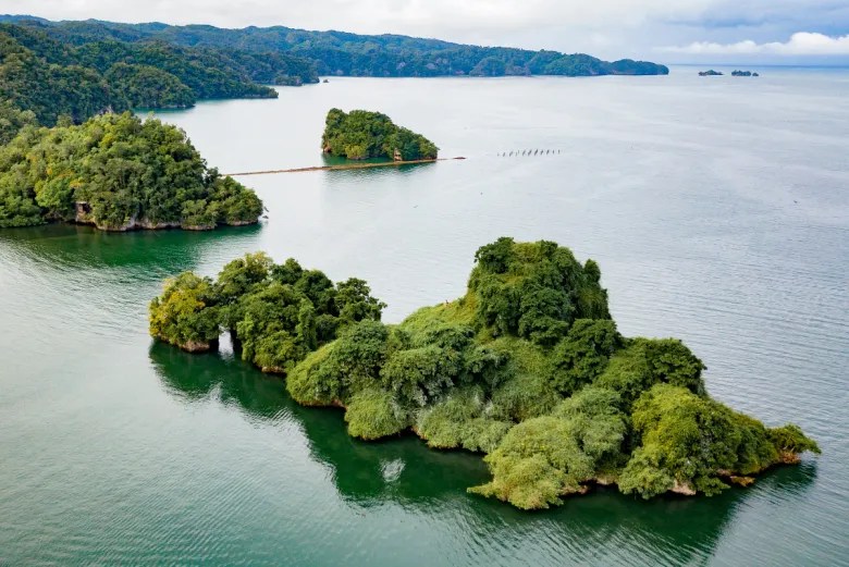 El Parque Nacional Los Haitises: un lugar de belleza natural salvaje